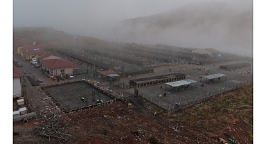 Sokak Hayvanları İçin Modern, Sağlıklı ve Doğal Yaşam Projesi Başladı