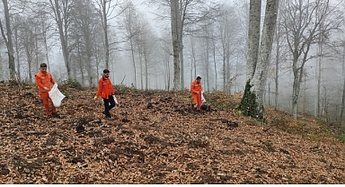 Harmancık’ta yanan ormanlara tohumlar serpiliyor